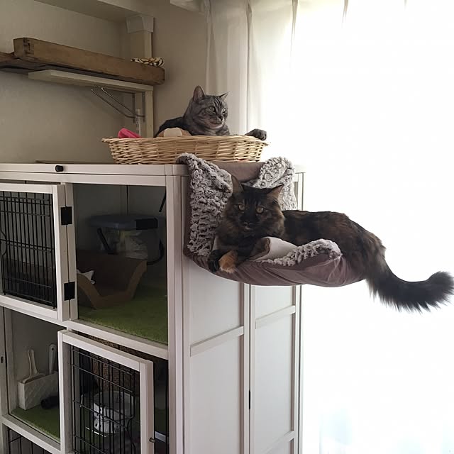 mikomaruさんの実例写真
