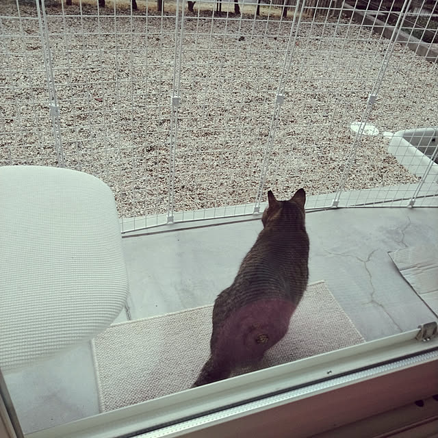 lilyさんの実例写真