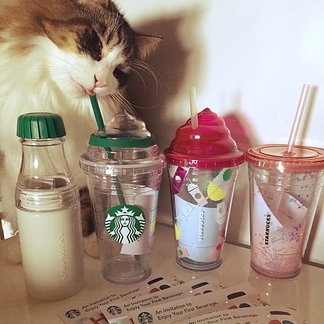 neco7さんの実例写真