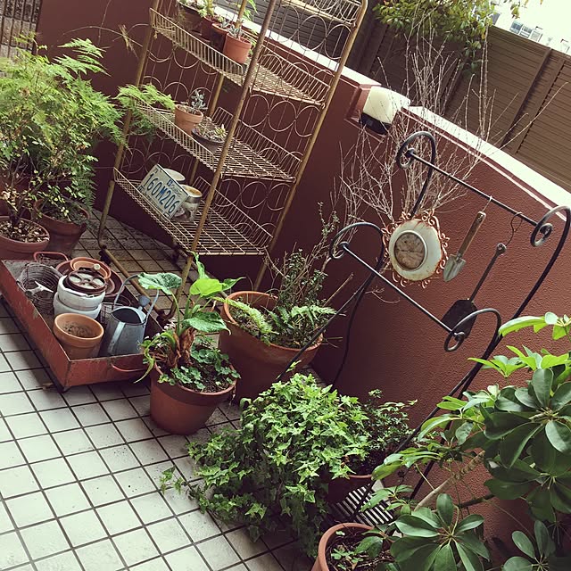 mamiさんの実例写真