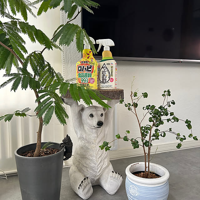 mocoさんの実例写真