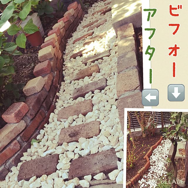 anosapoさんの実例写真