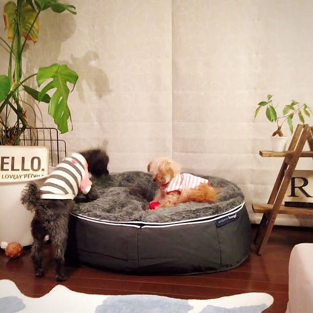 risaさんの実例写真