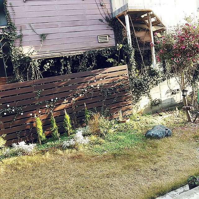 mudflapさんの実例写真