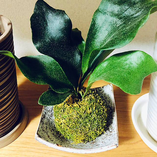 hanachanさんの部屋