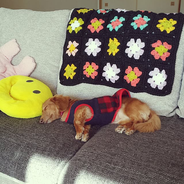 sumireさんの実例写真