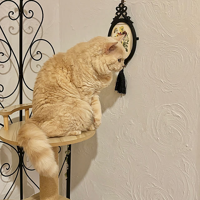 naokoさんの部屋