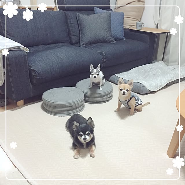 Emiさんの実例写真