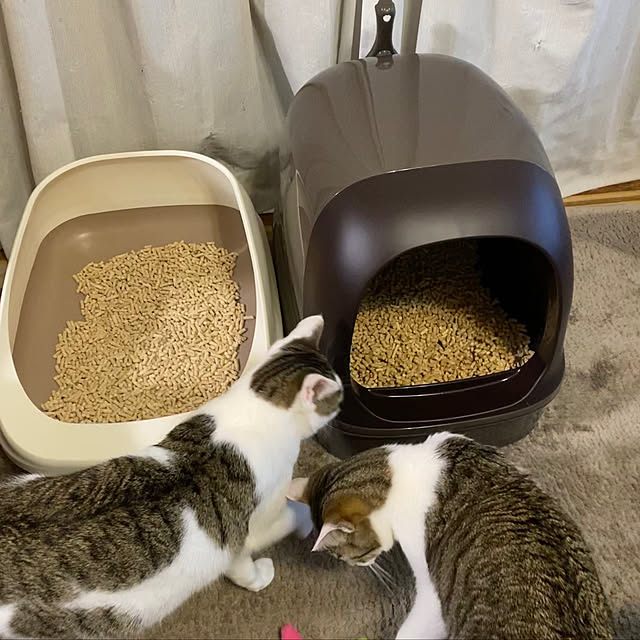 Lufuさんの実例写真