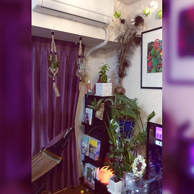 mewmewwさんの実例写真