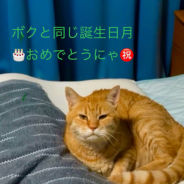 tututu0204さんの部屋