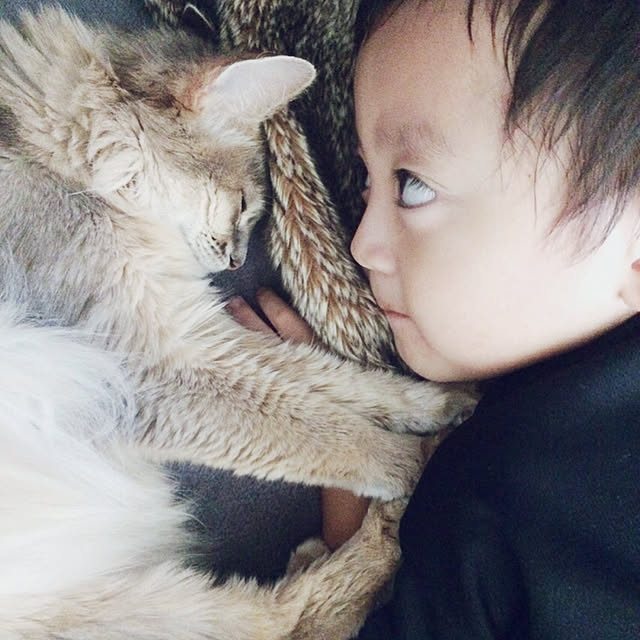 mi-coさんの実例写真