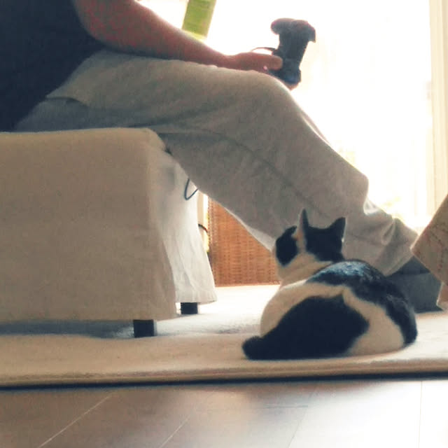 futukoさんの実例写真