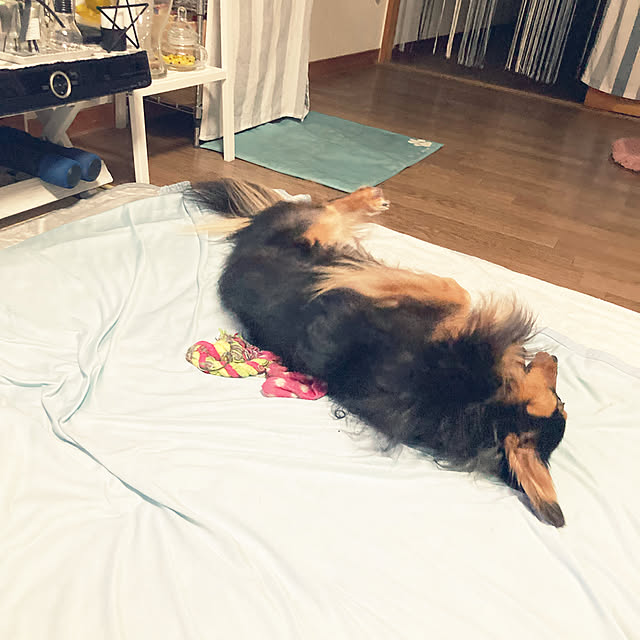 Chikuwaさんの実例写真