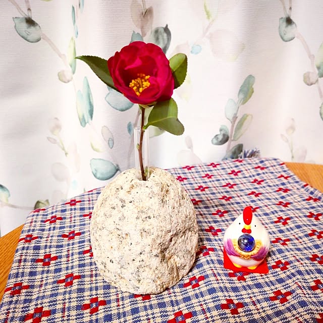 yokkoさんの実例写真