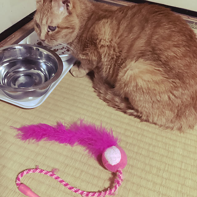 conatuさんの部屋