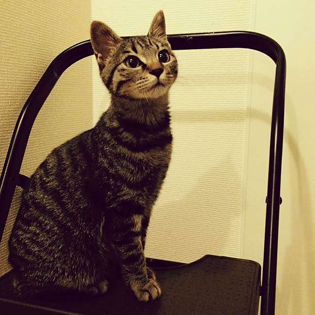 maruさんの実例写真