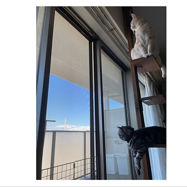 hiyupan88さんの実例写真