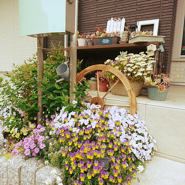 実例写真