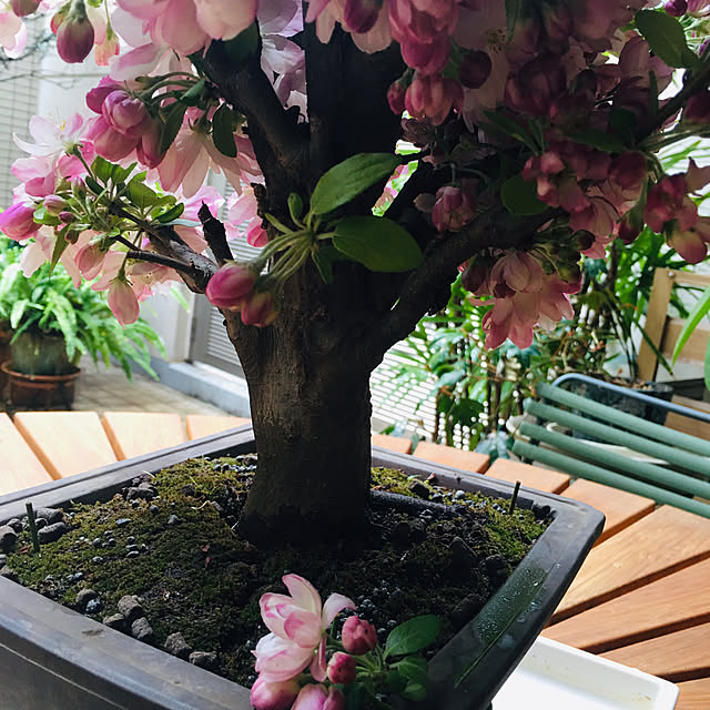 happy-sachiさんの部屋