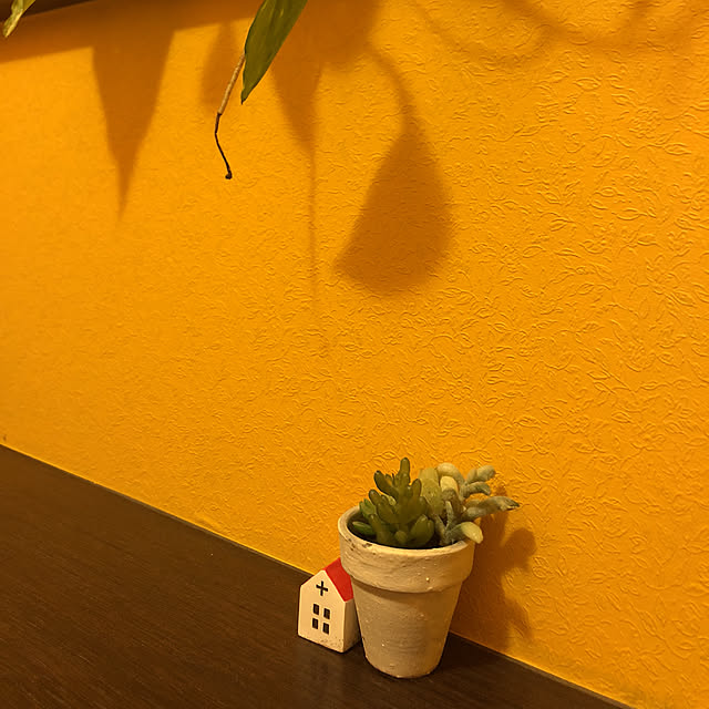 888MEGUさんの実例写真