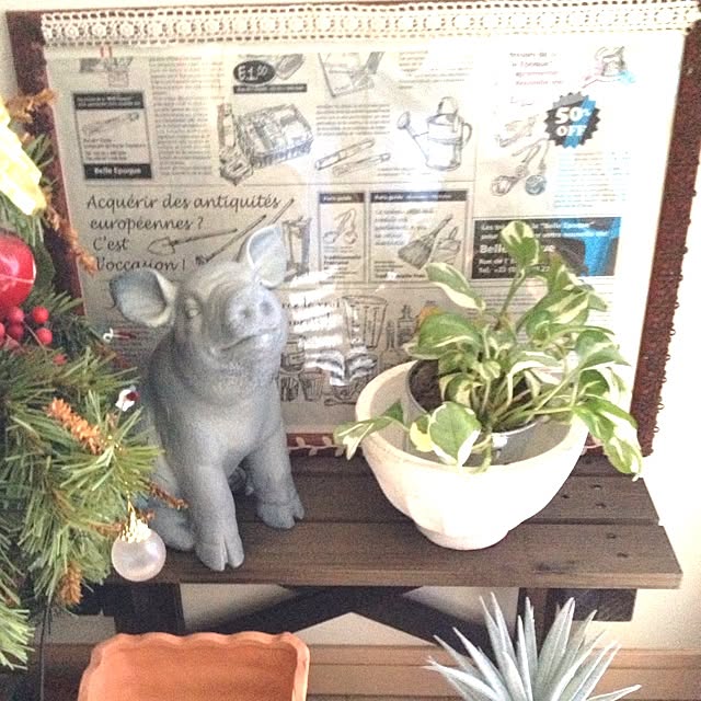 実例写真