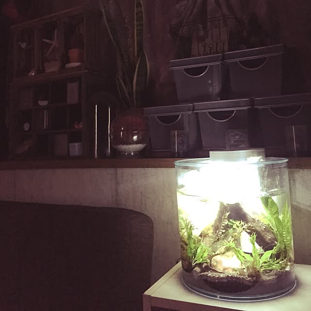 yumikoさんの実例写真