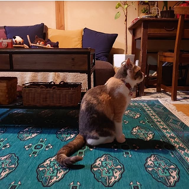 fukuさんの部屋