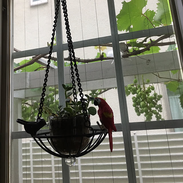 バス/トイレ/観葉植物のインテリア実例 - 2018-07-01 05:14:18