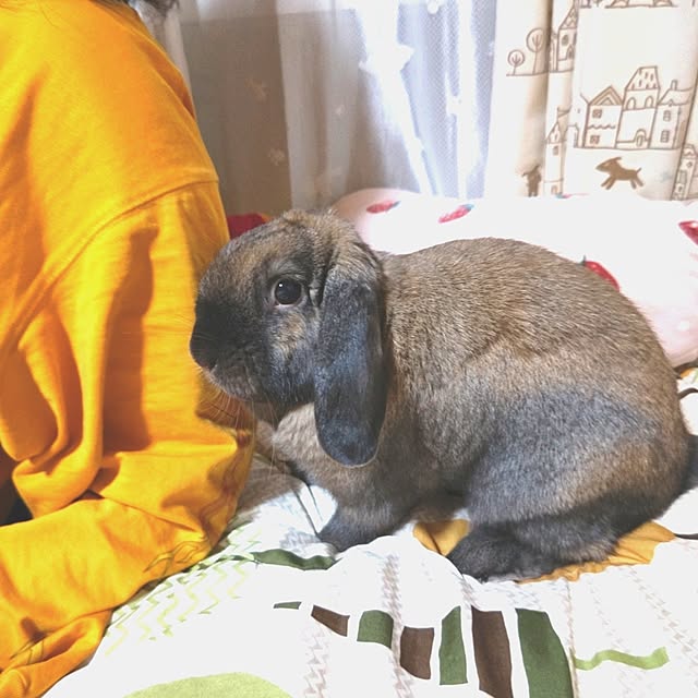 mariaさんの実例写真