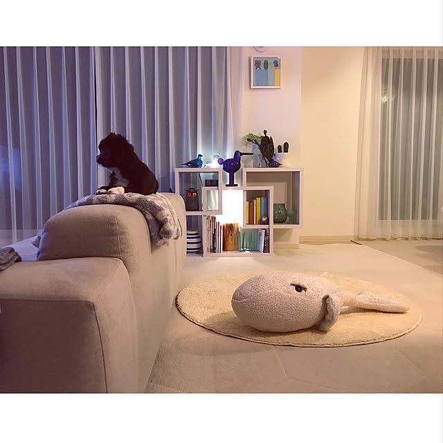 haruhinaさんの実例写真