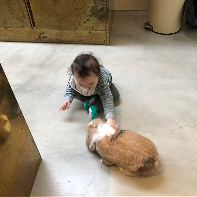 naokoomuraさんの実例写真