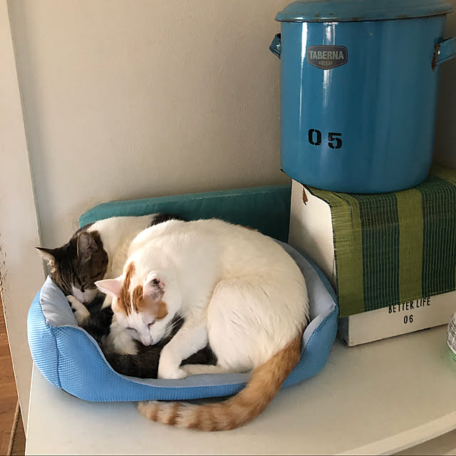 arayanさんの実例写真