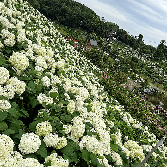 rookuさんの部屋