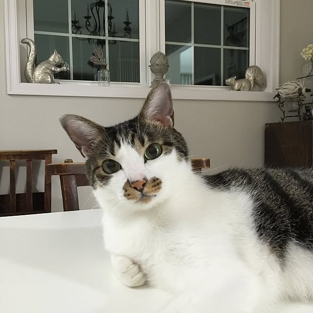 yuchiさんの実例写真
