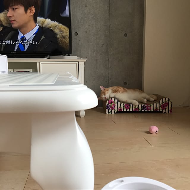 korinkorinさんの実例写真