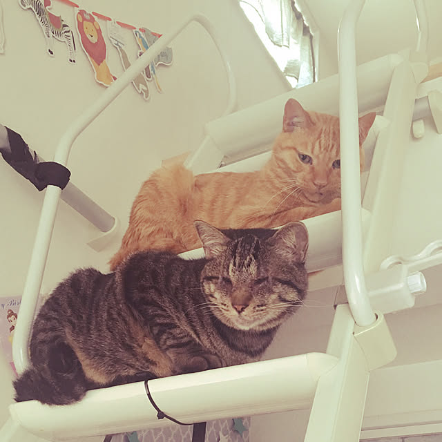 369mamaさんの実例写真