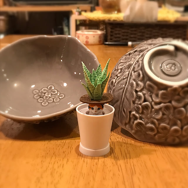 kou-kitiさんの実例写真
