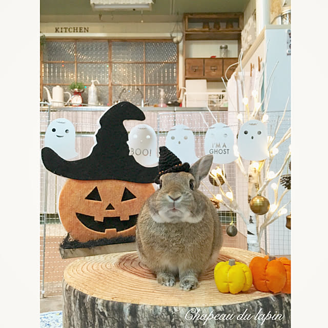 mashiさんの実例写真