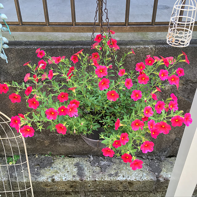 smilelifeさんの実例写真