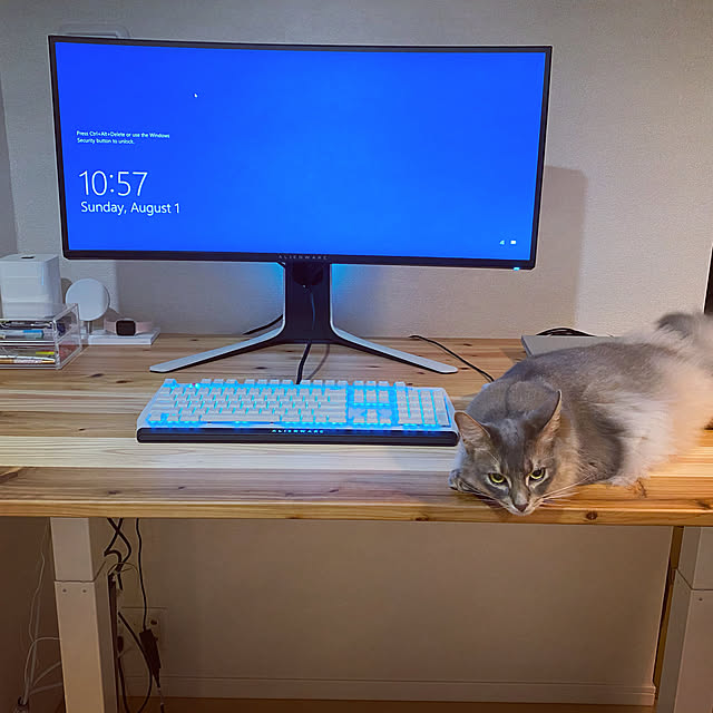 Fodderlさんの実例写真