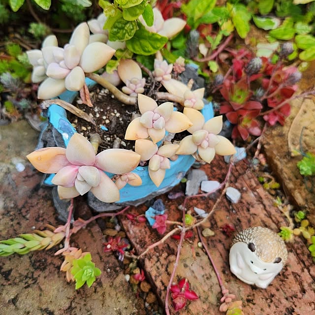amtさんの実例写真