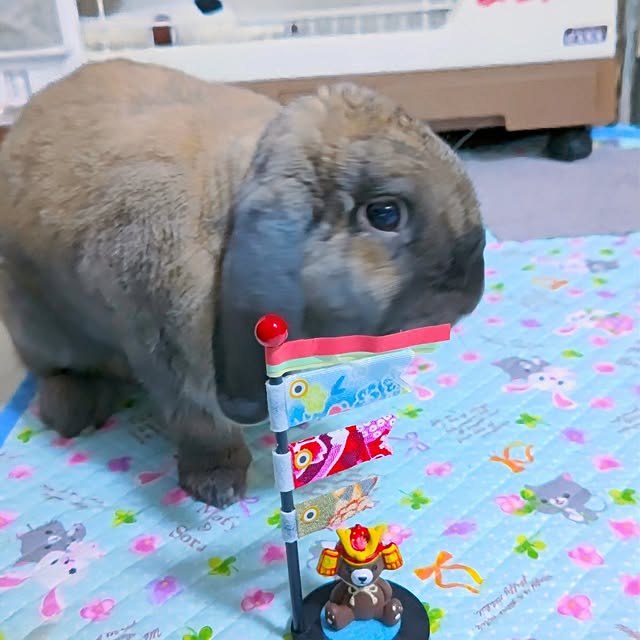 mariaさんの部屋