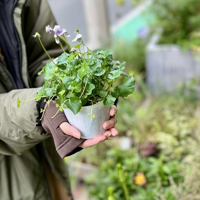 Royal_Gardeners_Clubさんの実例写真