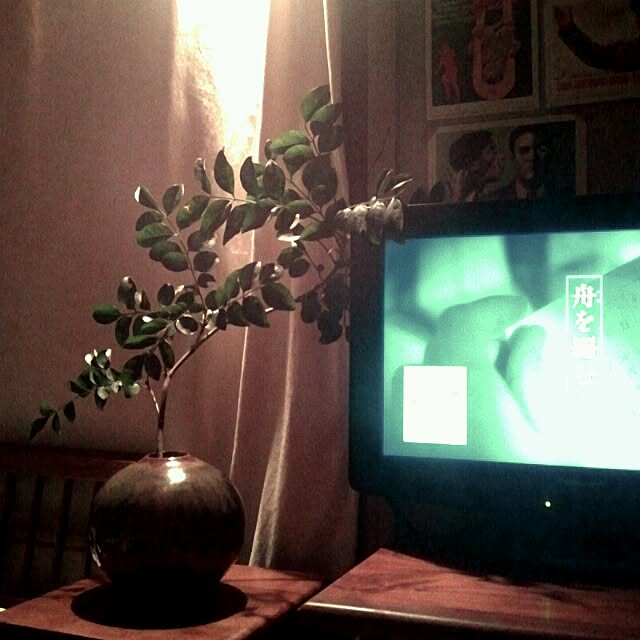 kapock__さんの実例写真