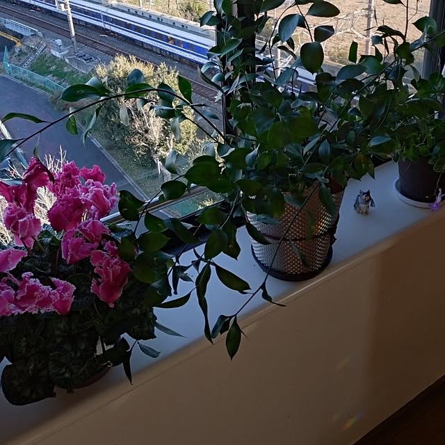 NOAHさんの部屋