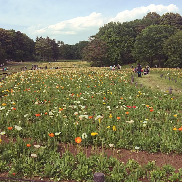 yukiyukiさんの実例写真