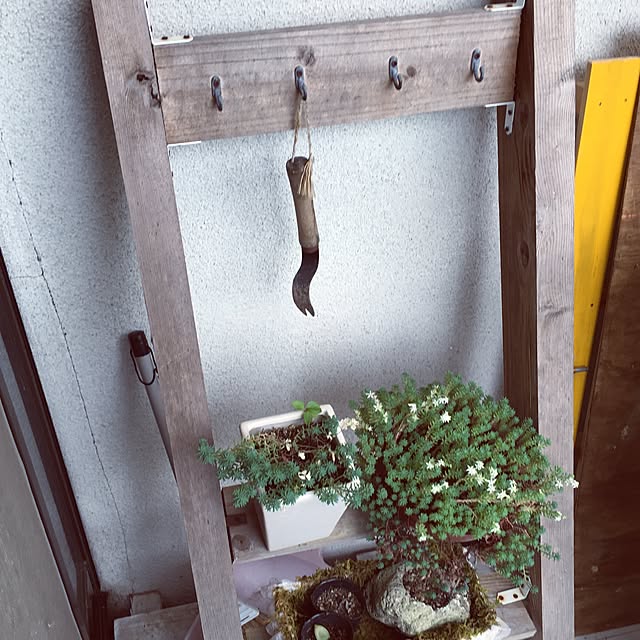 muwaさんの実例写真