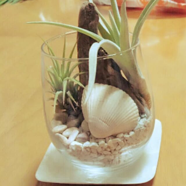 32aloalo0526さんの実例写真