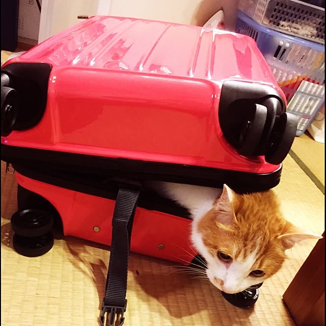 LEMONさんの実例写真
